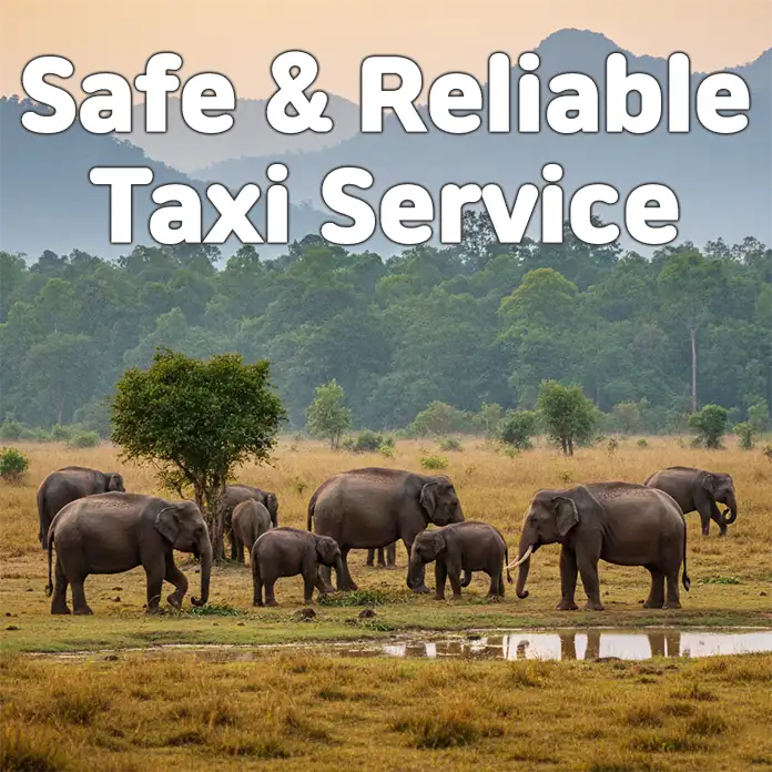 bangkok to hua hin Bangkok to Hua Hin Taxi